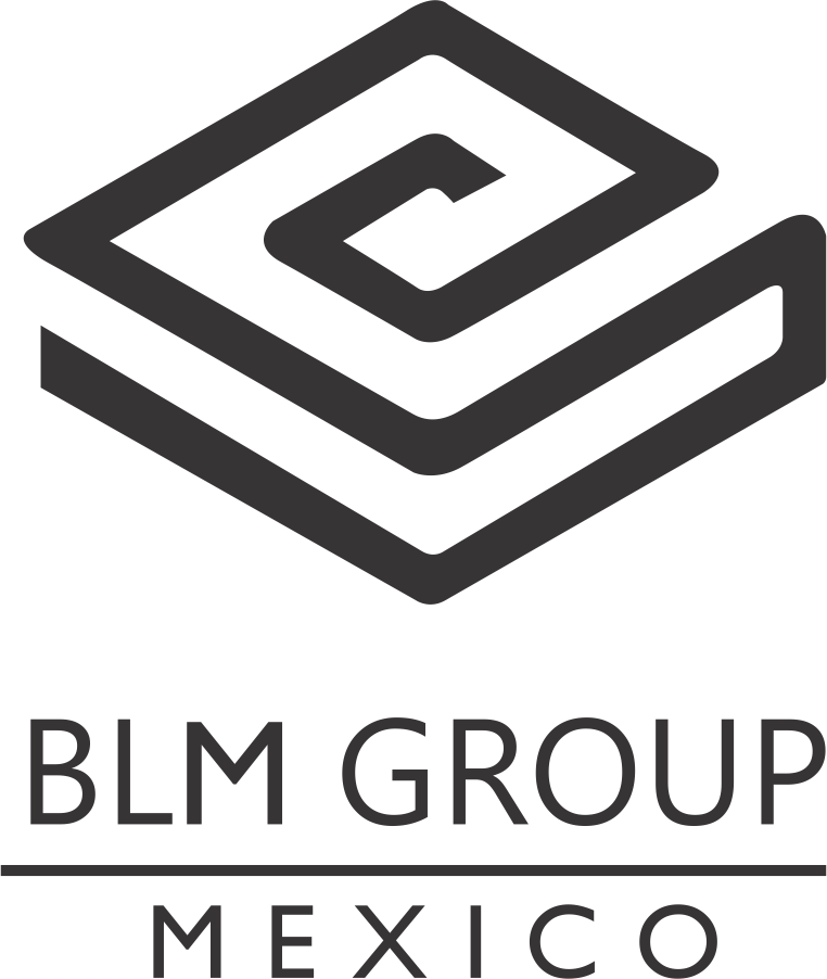 BLM GROUP MÉXICO BM24155